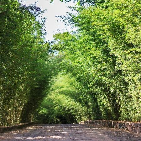 Pousada Bosque Do Lapao Lencois Dış mekan fotoğraf
