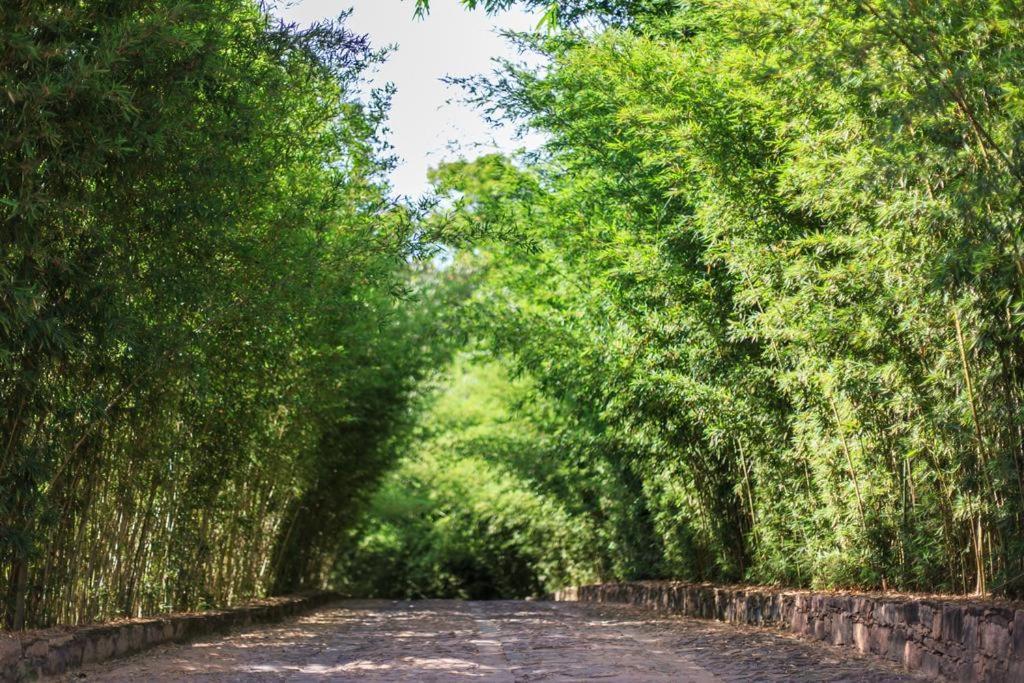Pousada Bosque Do Lapao Lencois Dış mekan fotoğraf